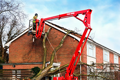 Emergency Tree Removal, Raleigh, NC