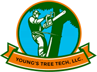 Young’s Tree Tech, LLC