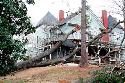Weather Damage Tree Services, Raleigh, NC